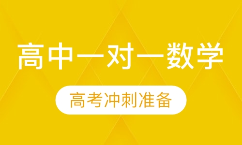高中一对一数学辅导