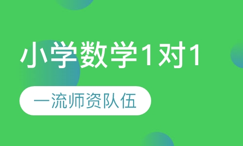 小学数学1对1/1对多