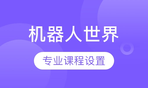 8岁以上-机器人世界（机器人竞赛）