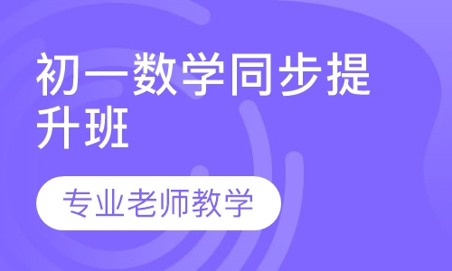 初一数学同步提升班