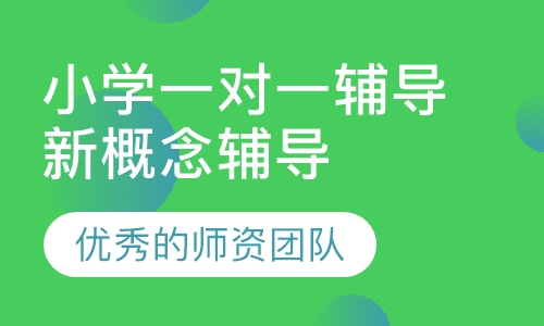 小学一对一辅导新概念辅导
