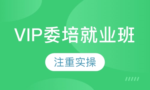 VIP无人机委培就业班