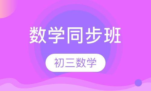 初三数学同步班课