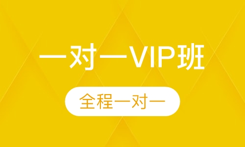 艺考生文化课一对一VIP班