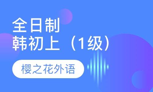 全日制韩初上（1级）