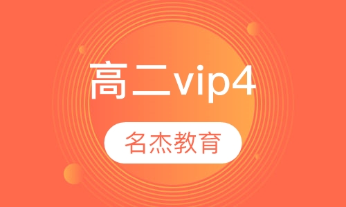 高二vip4