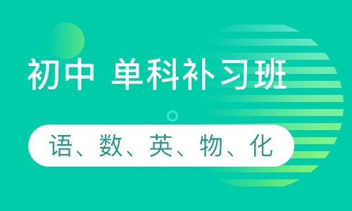 初中语文、数学、英语、物理、化学单科补习