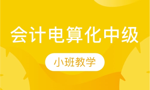 会计电算化中级