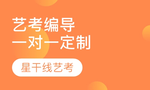 艺考编导专业一对一定制班