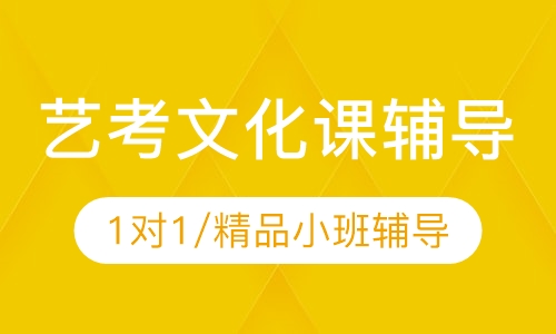 艺考文化课辅导