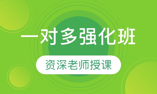 一对多强化班
