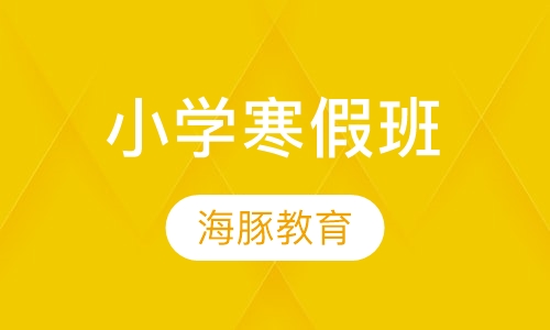 小学寒假班