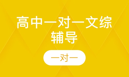高中一对一文综辅导