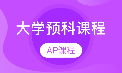 大学预科课程（AP课程）