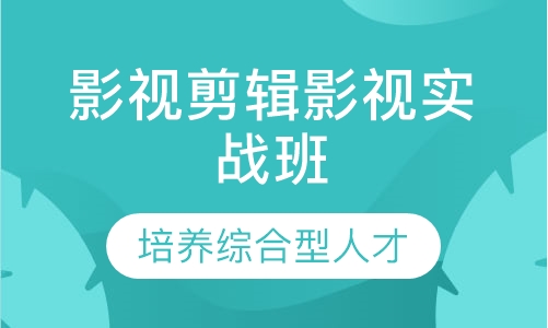 双师课+直播课影视剪辑影视实战班