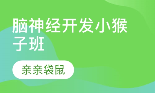 脑神经开发小猴子班