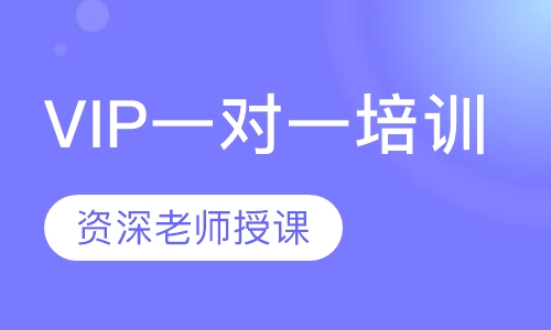 VIP一对一培训