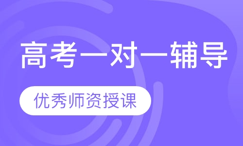 高考一对一辅导