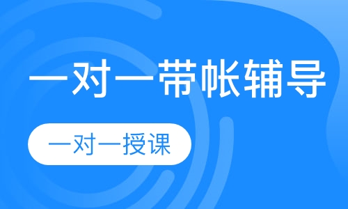 一对一带账辅导