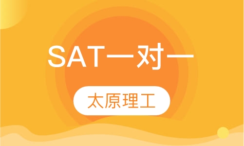 SAT一对一