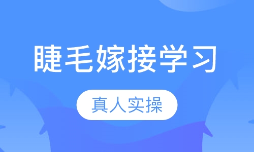 睫毛嫁接学习