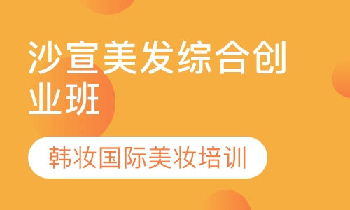 沙宣美发综合创业班