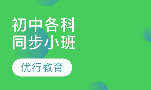 初中各科同步辅导课程小班