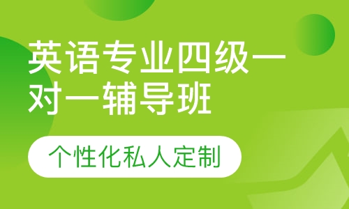 直播课英语专业四级一对一辅导班