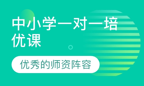 中小学一对一培优课
