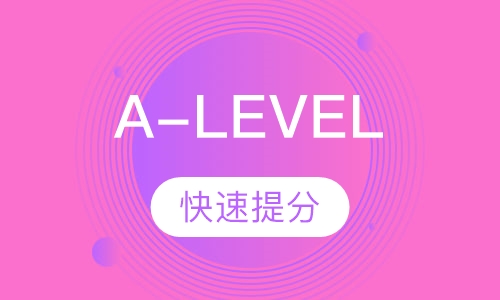 A-LEVEL 一对一