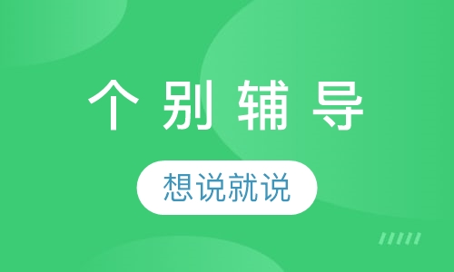个 别 辅 导