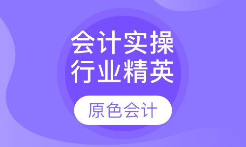 会计真账实操行业精英班