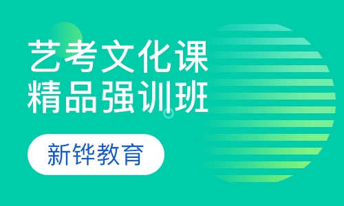 艺考生文化课精品强训班