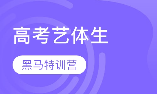 高考艺体生