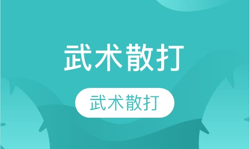 武术散打