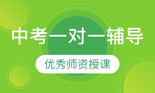 中考一对一辅导