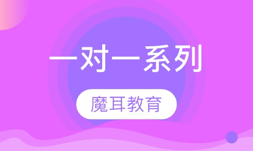 一对一系列