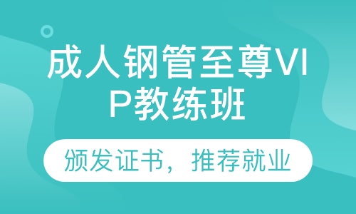 成人钢管舞至尊VIP教练班