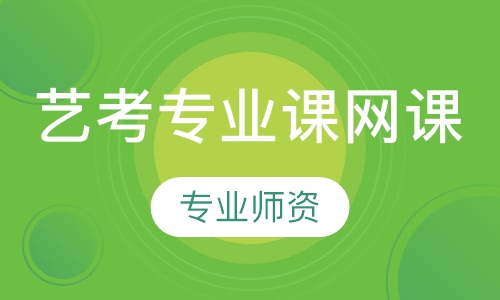 直播课艺考专业课网课