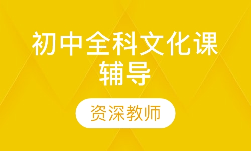 初中全科文化课辅导