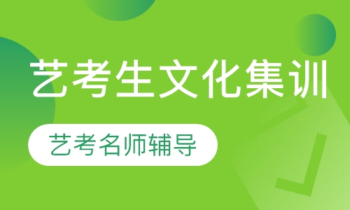 艺考生文化集训