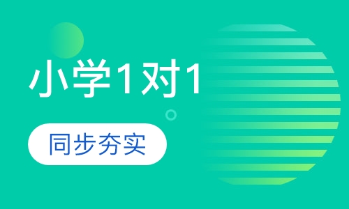 小学1对1课程辅导