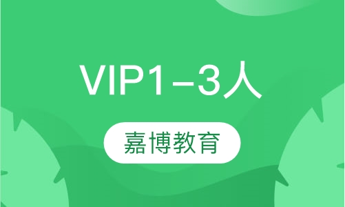 VIP 1-3人