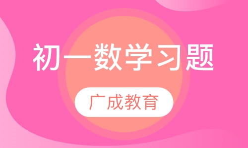 初一数学习题精品班