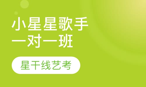 小星星歌手一对一班