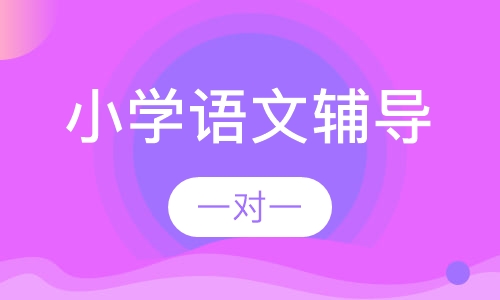 小学一对一语文辅导