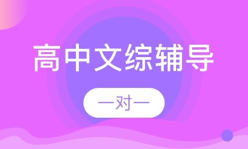 高中一对一文综辅导