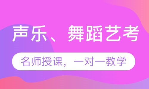 声乐、舞蹈高考艺考