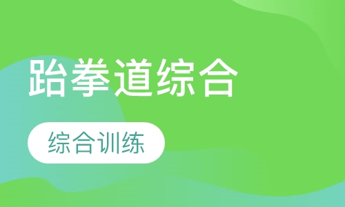 跆拳道综合班