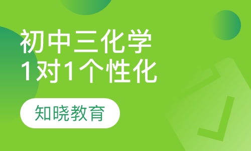 初中三年级化学 1对1个性化辅导